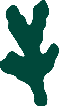 illustration icône vert pin