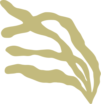illustration icône avoine