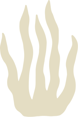 illustration icône saumon algue